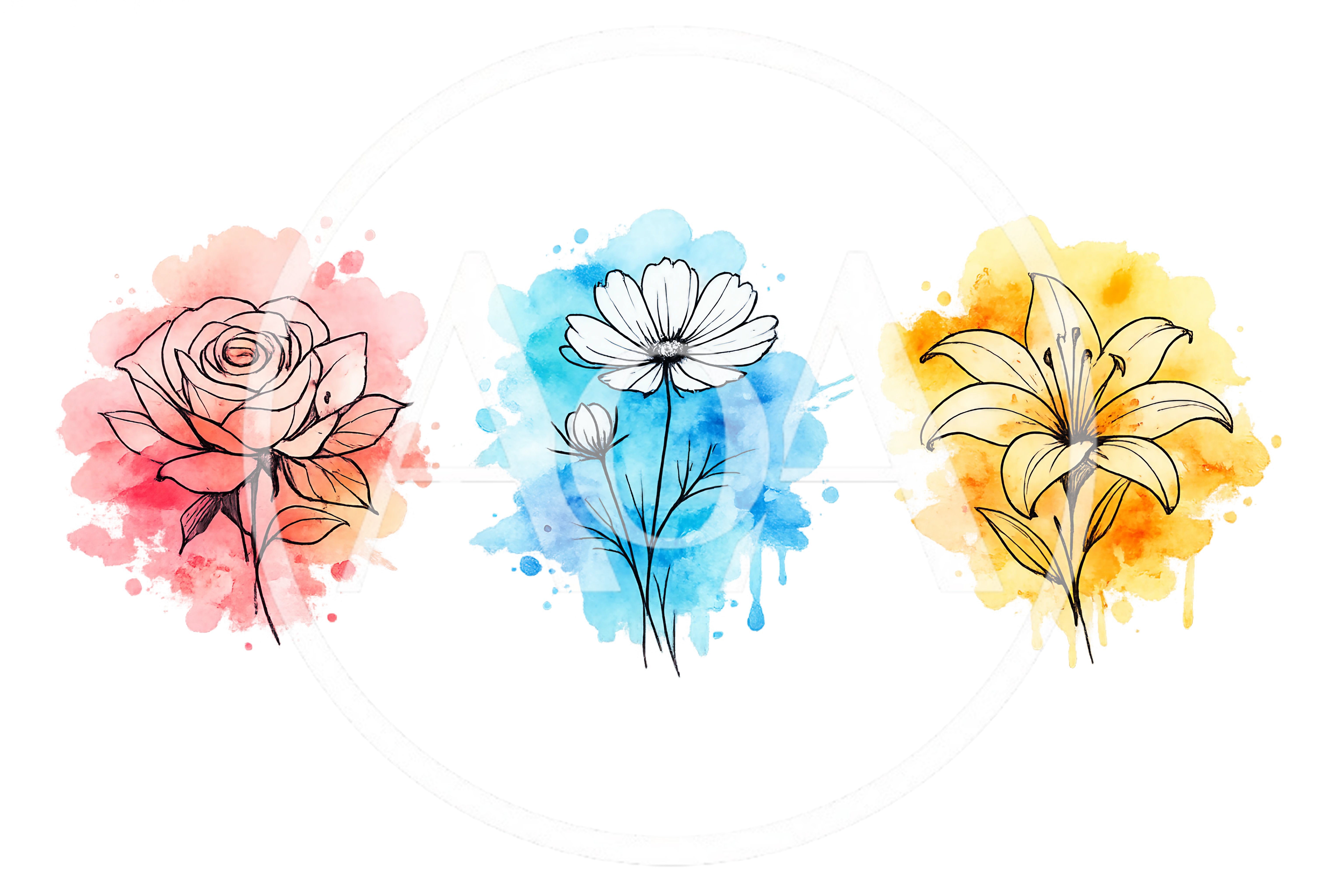 Watercolor Floral Illustrations With Rose Cosmos And Lily