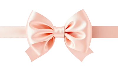 Elegant Pale Pink Satin Ribbon Bow