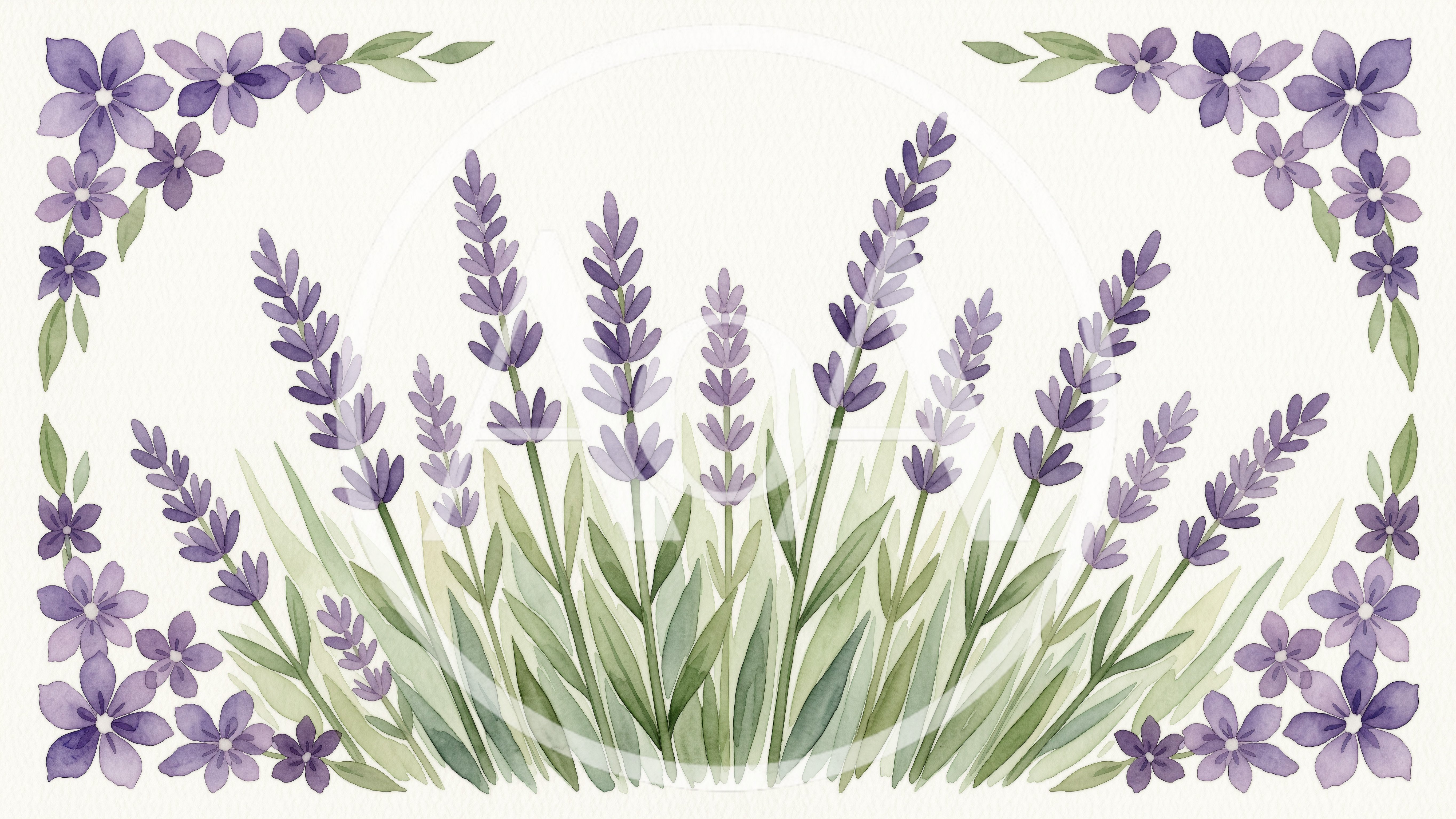 Watercolor Lavender Field Illustration With Floral Border
