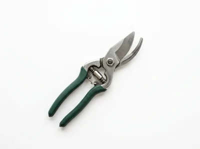 Green Handled Pruning Shears on White Background