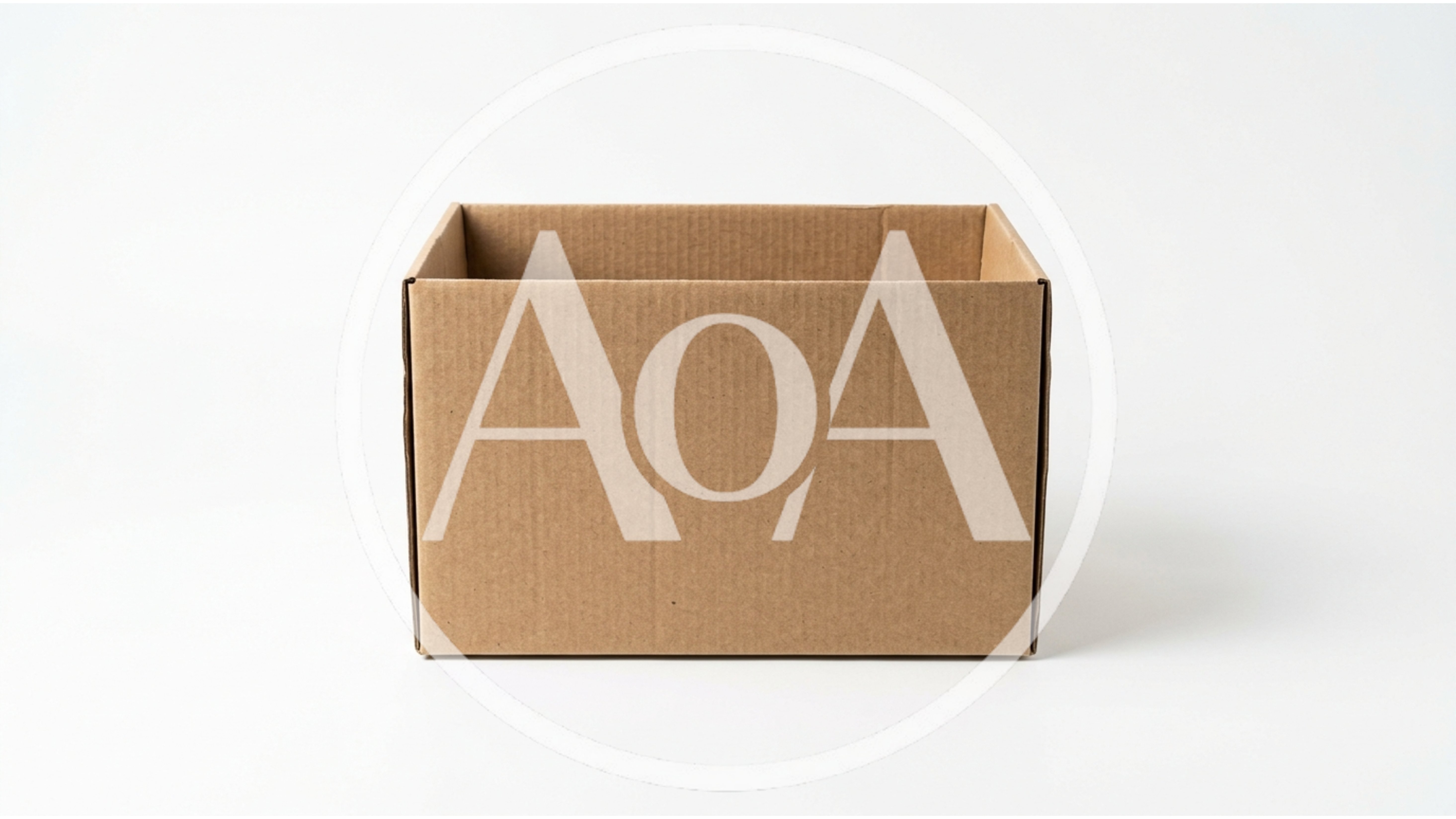 Empty Brown Cardboard Box On White Background