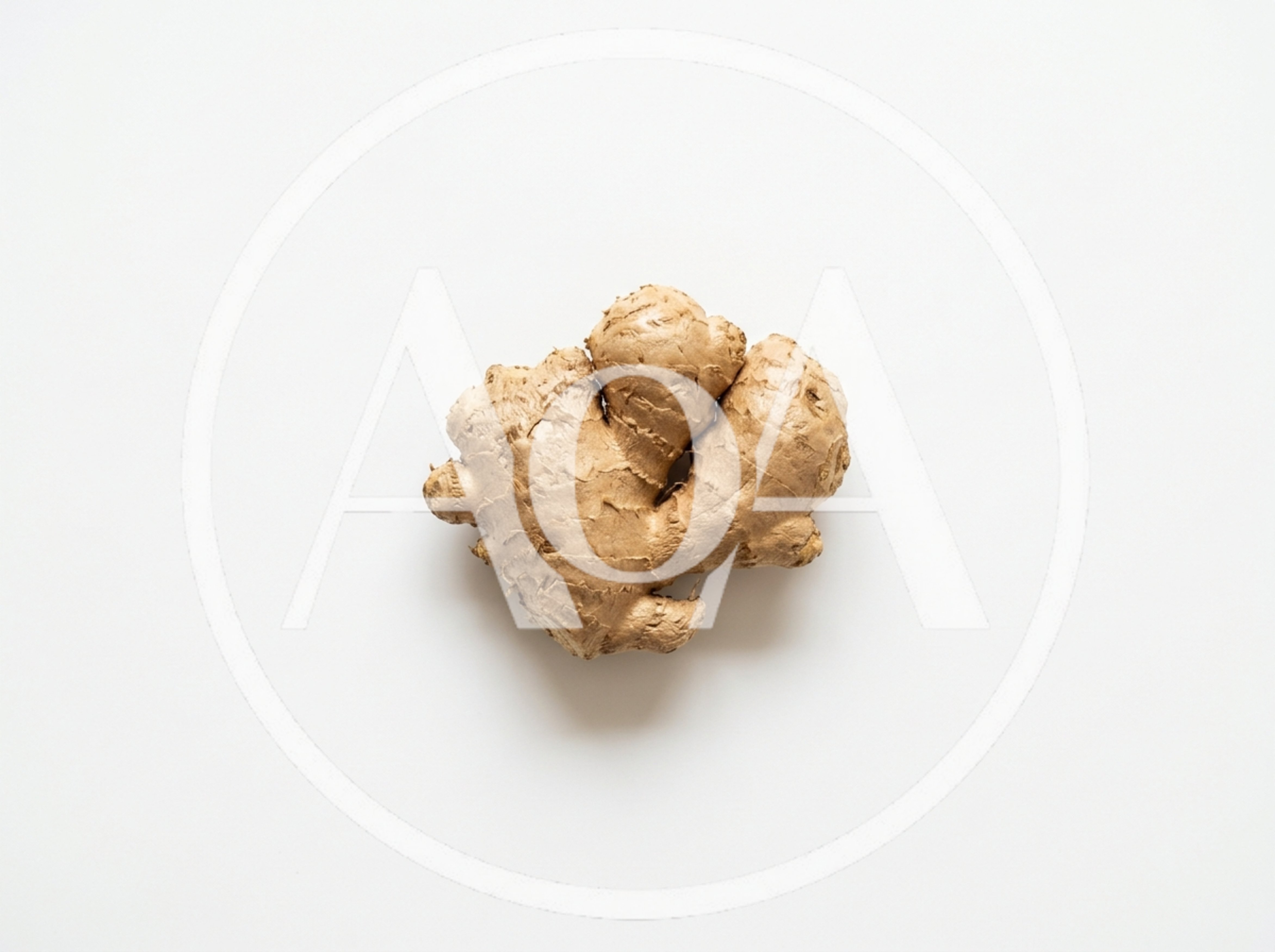 Fresh Raw Ginger Root Isolated On White Background