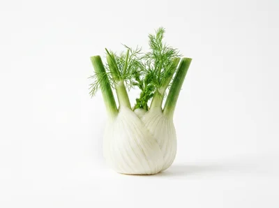 Fresh Bulb Of Fennel On White Background