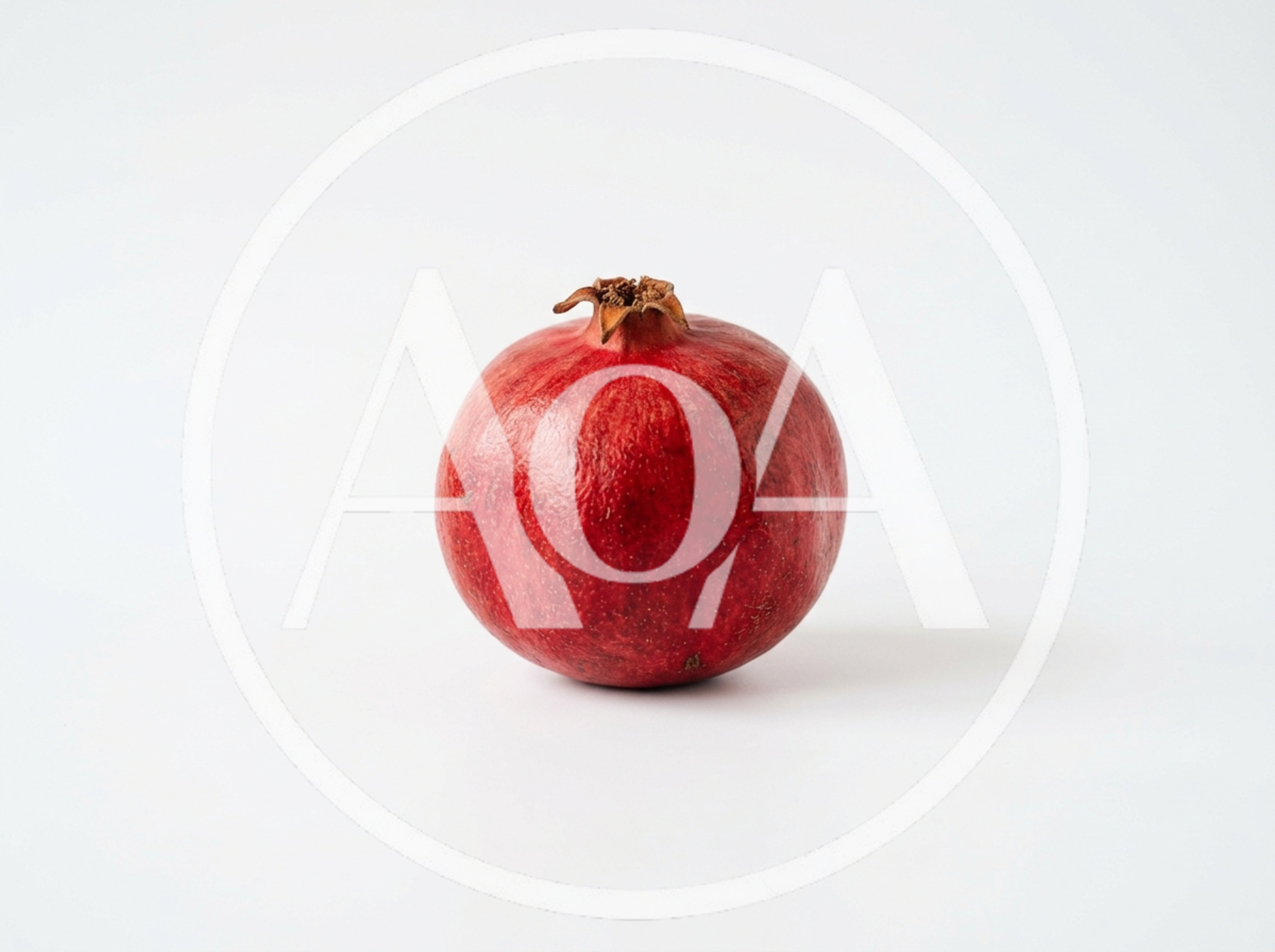 Single Fresh Red Pomegranate Fruit