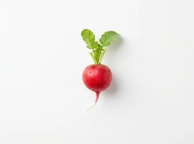 Single Fresh Red Radish With Green Leaves