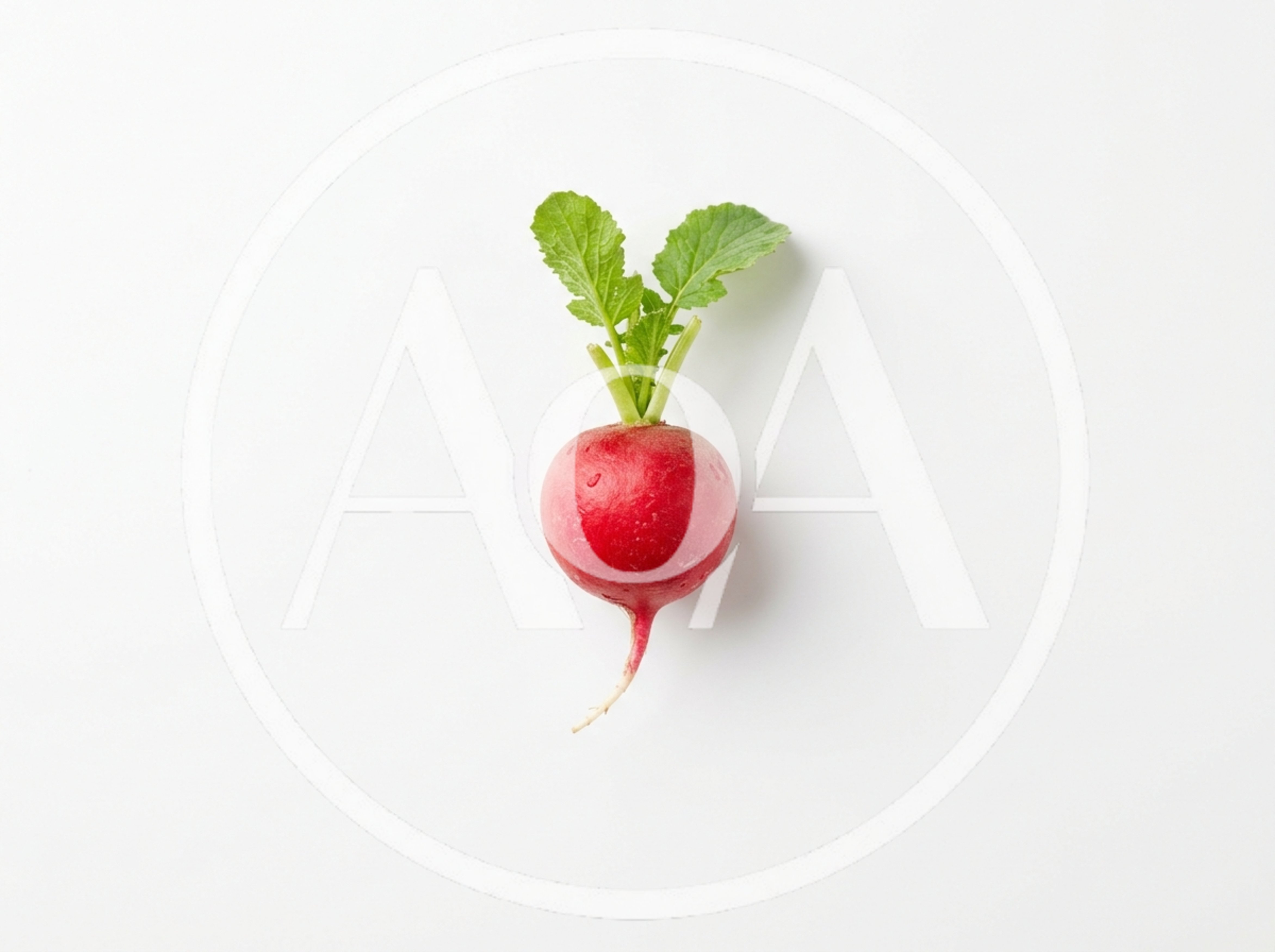 Single Fresh Red Radish With Green Leaves