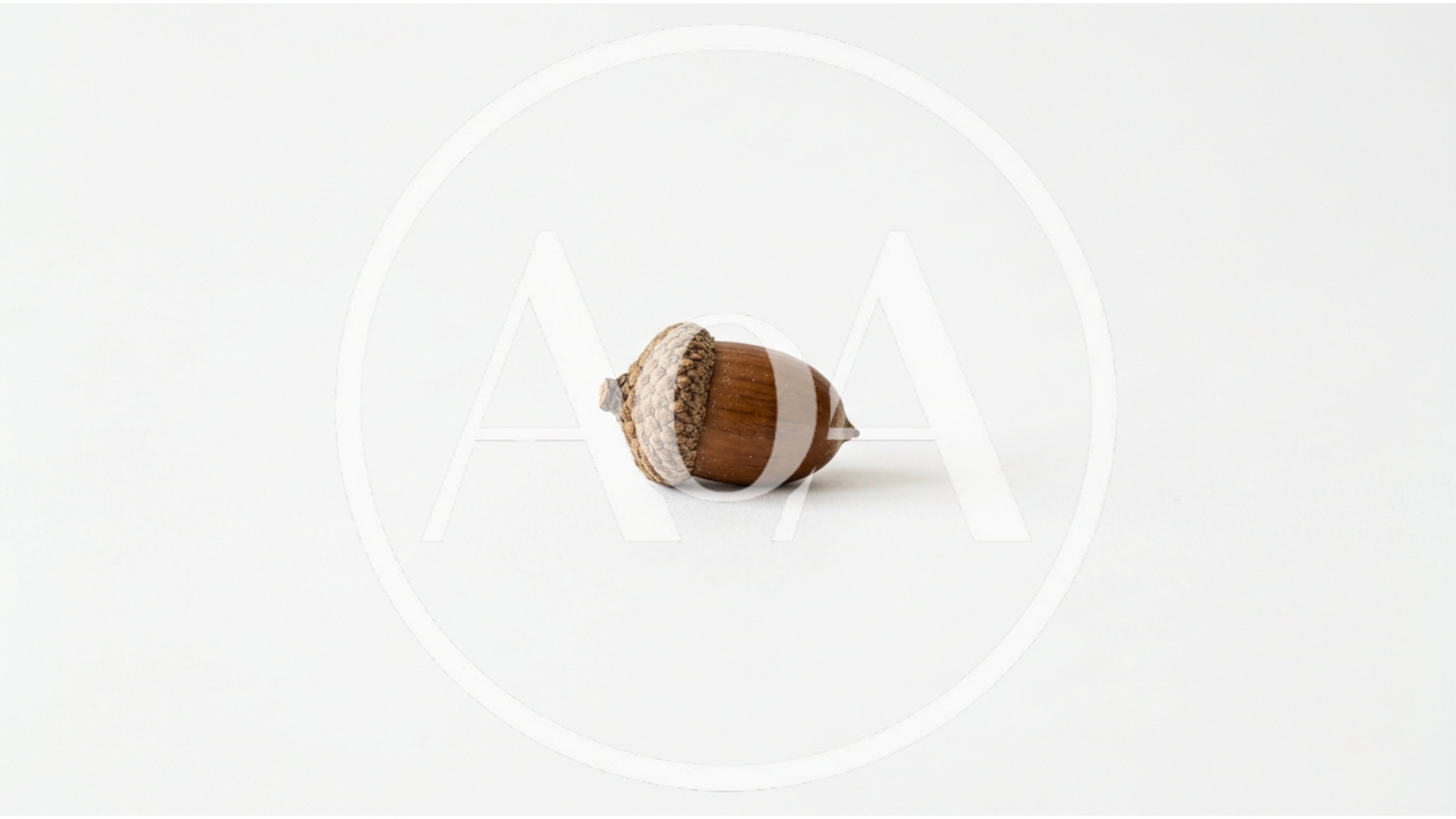 Single Brown Acorn Isolated On White Background