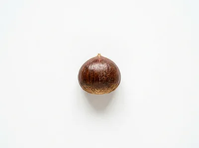Single Raw Chestnut Isolated On White Background