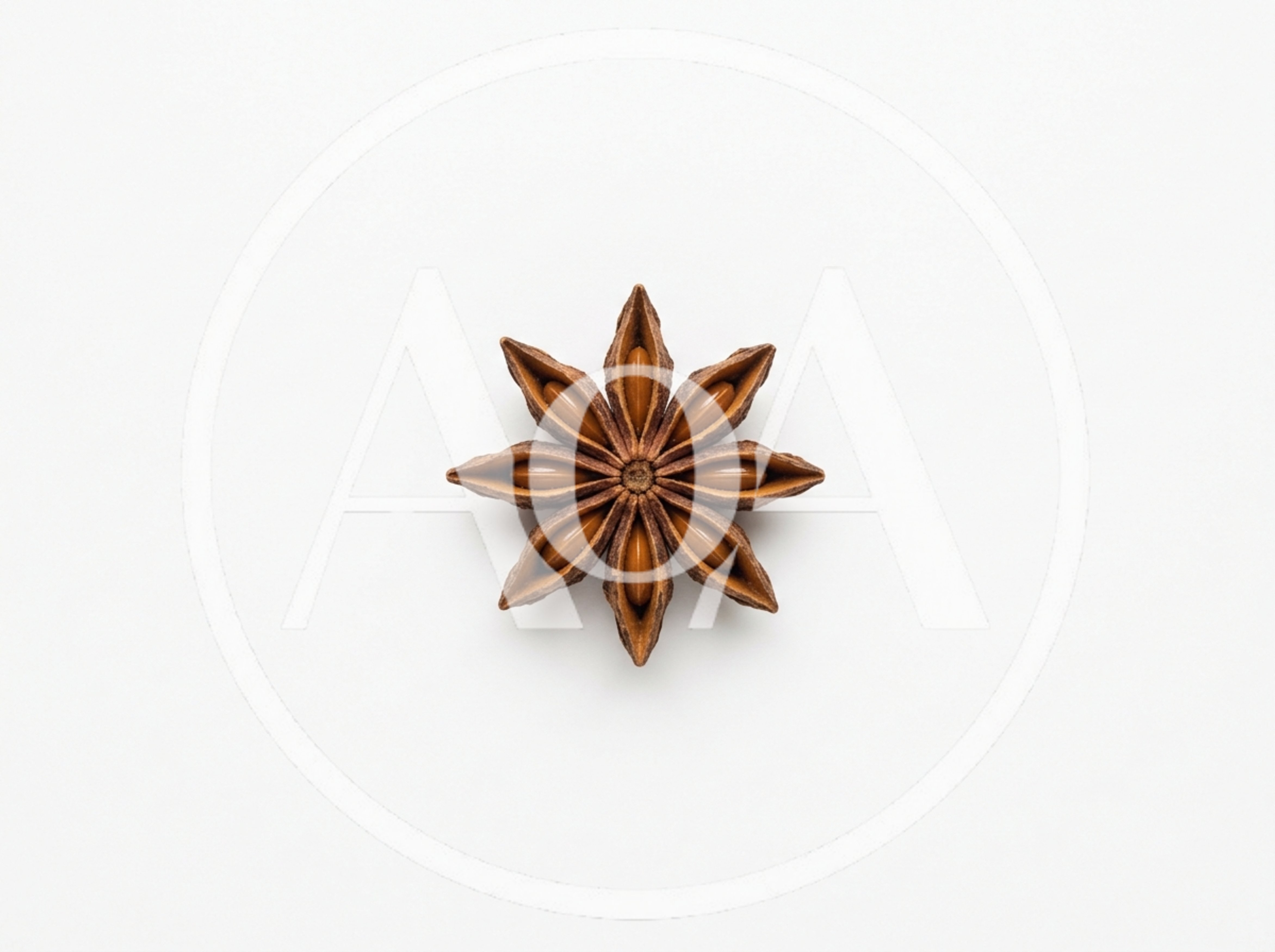 Single Star Anise Spice On White Background