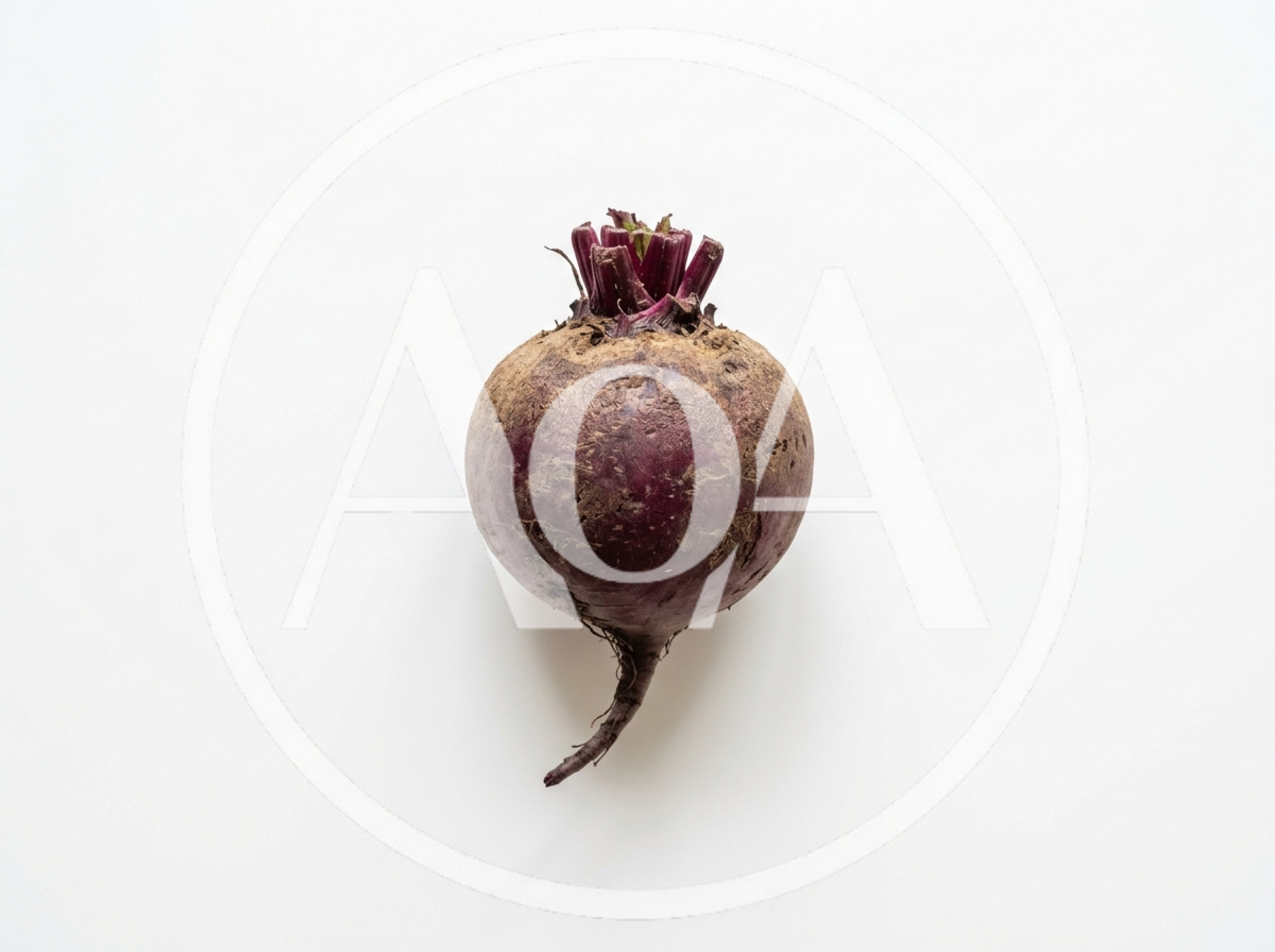 Single Fresh Raw Beetroot On White Background