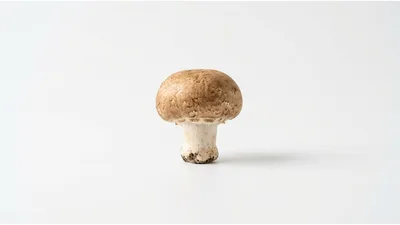 Single Brown Cremini Mushroom On White Background