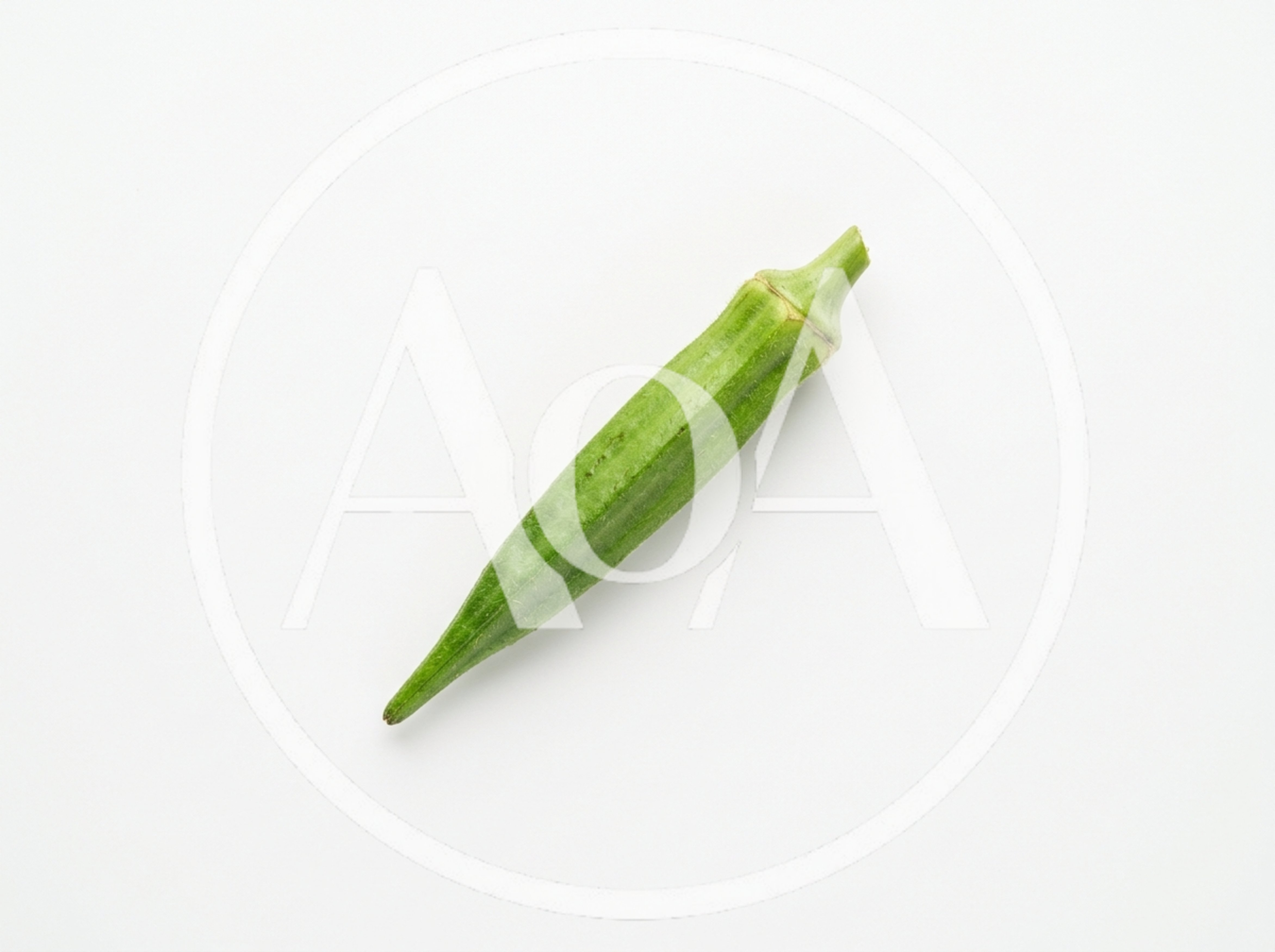 Single Fresh Green Okra Pod Isolated On White Background