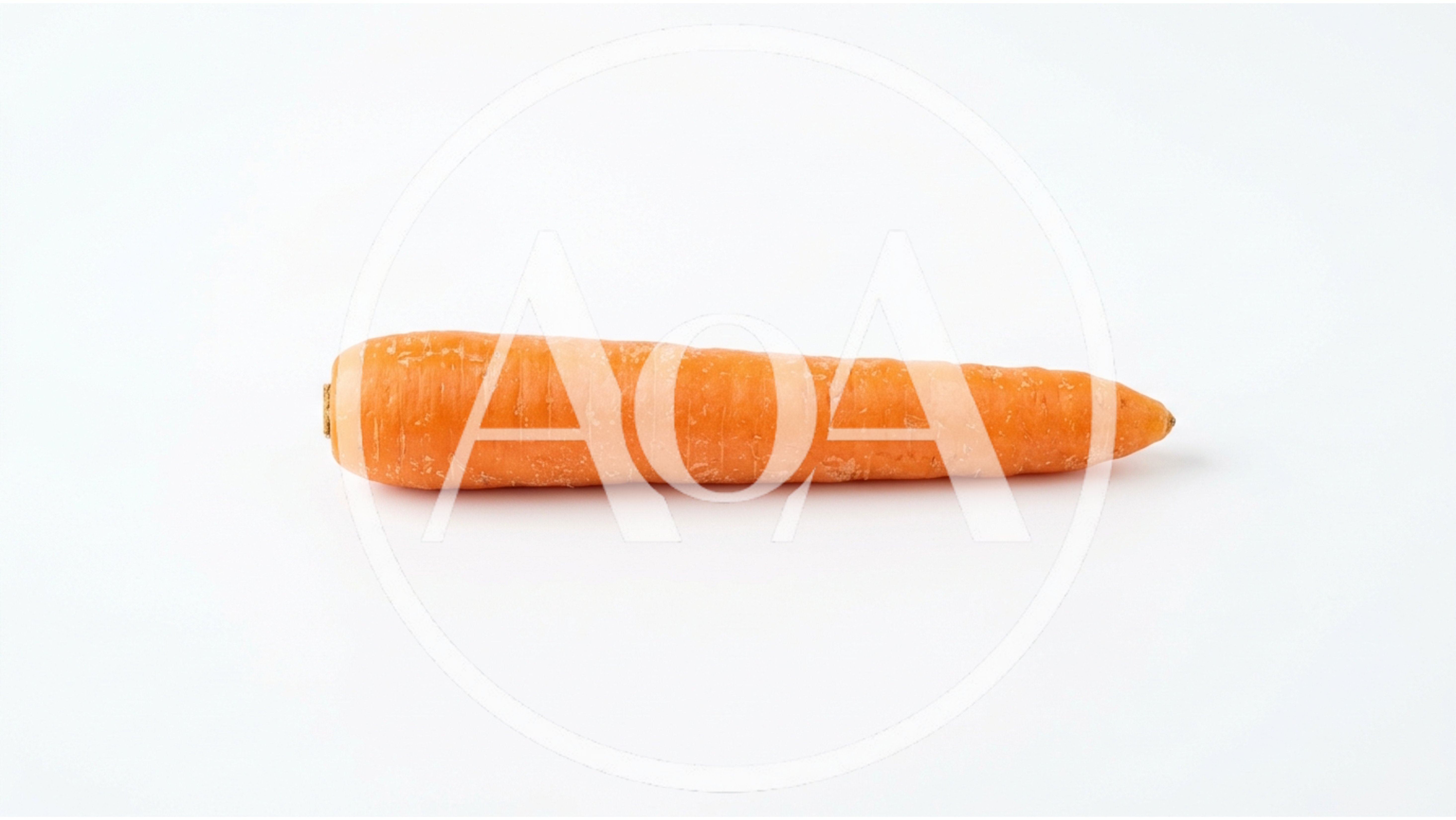 Single Fresh Orange Carrot Isolated on White Background