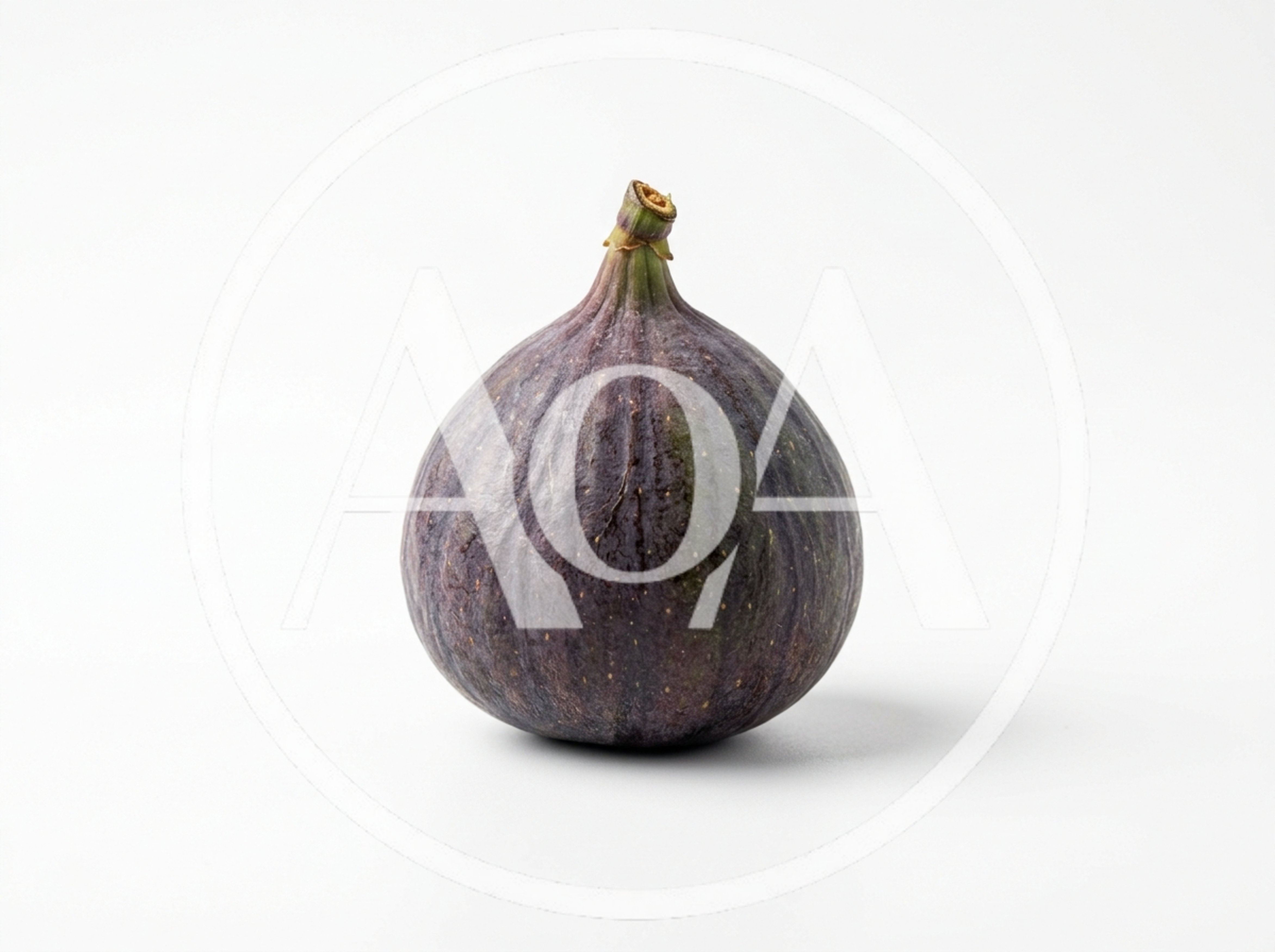 Single Fresh Ripe Fig Fruit