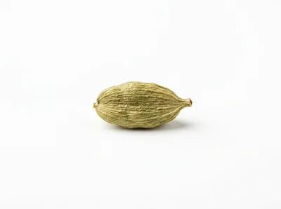 Single Green Cardamom Pod Isolated On White Background