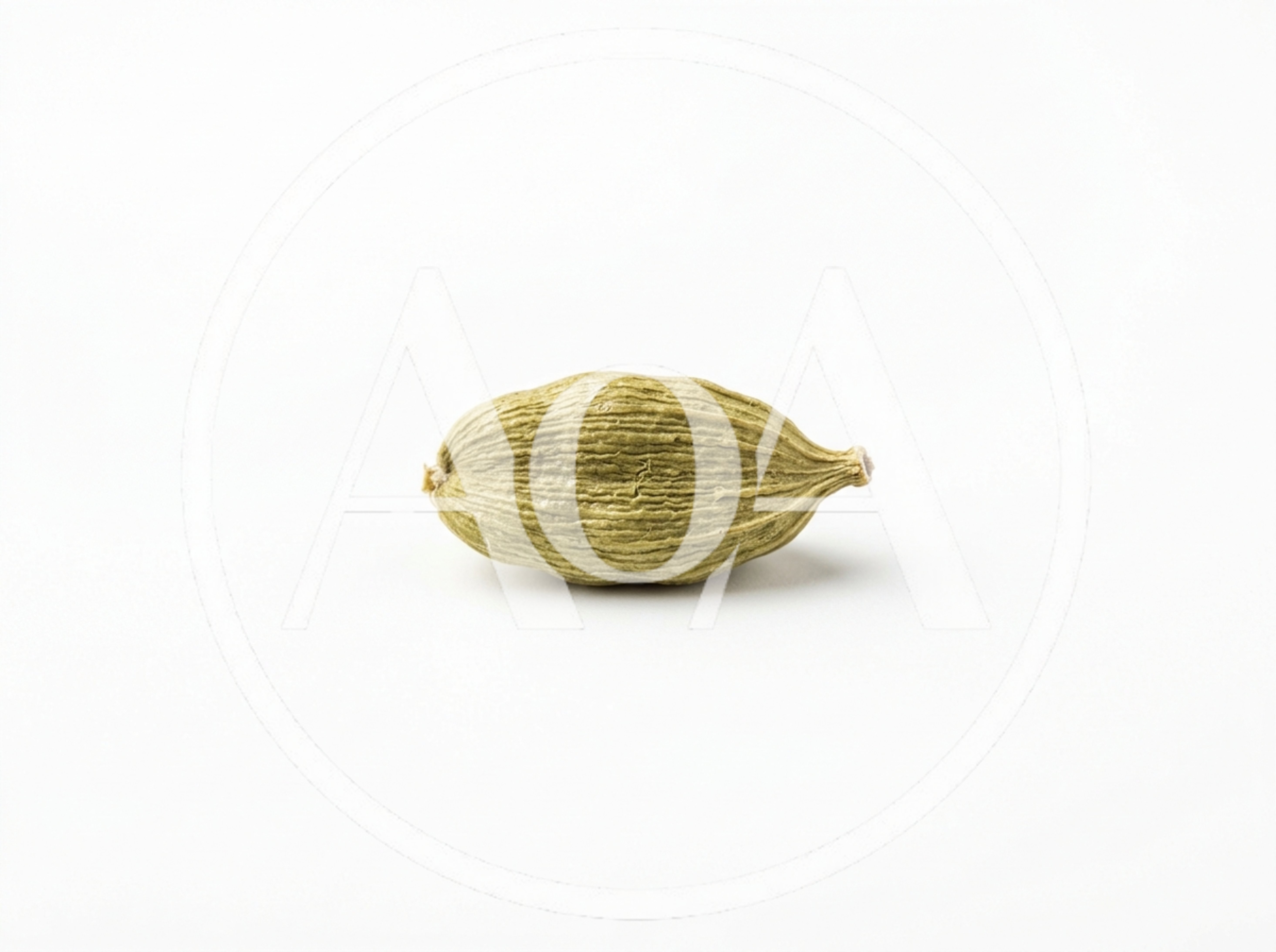 Single Green Cardamom Pod Isolated On White Background