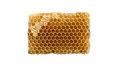 Fresh Honeycomb Piece Isolated On White Background