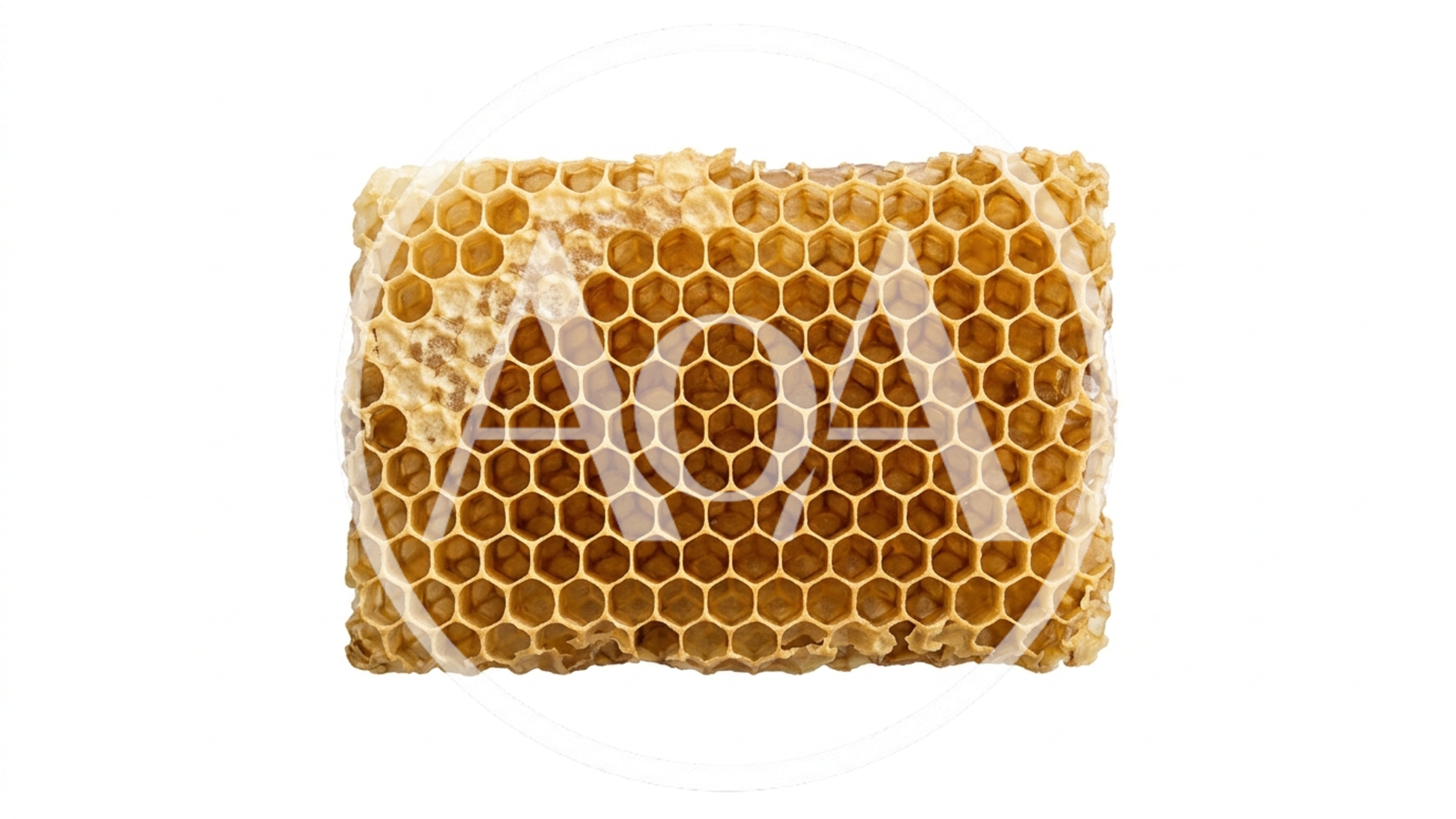 Fresh Honeycomb Piece Isolated On White Background