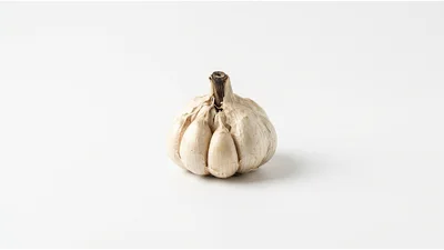Single Whole Garlic Bulb on White Background