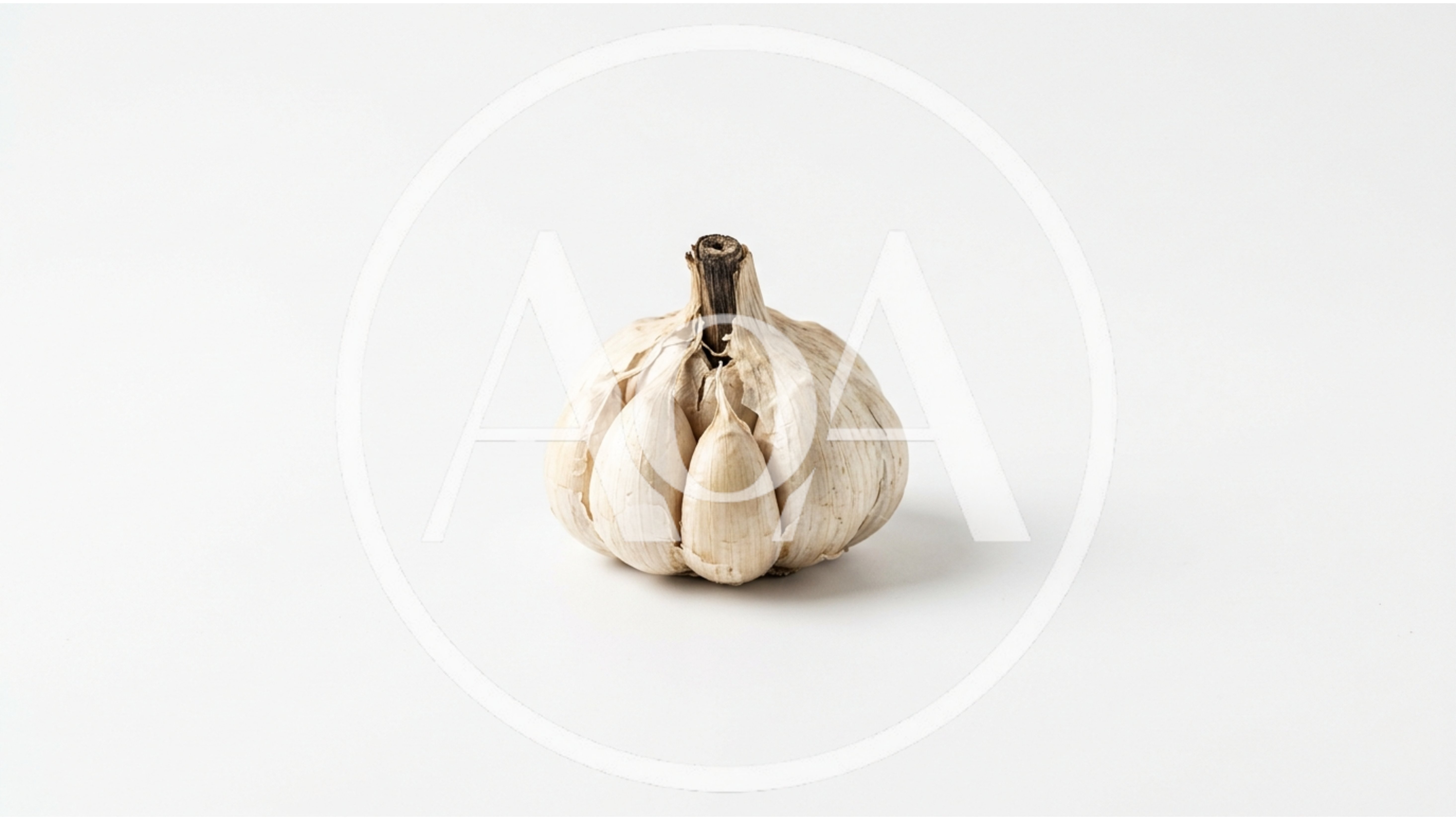 Single Whole Garlic Bulb on White Background