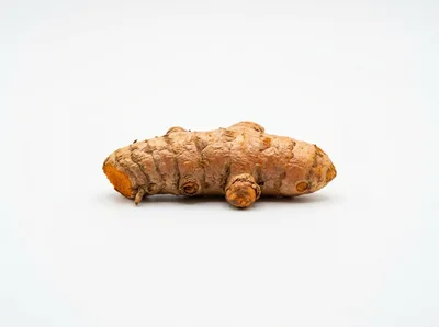 Single Fresh Turmeric Root On White Background