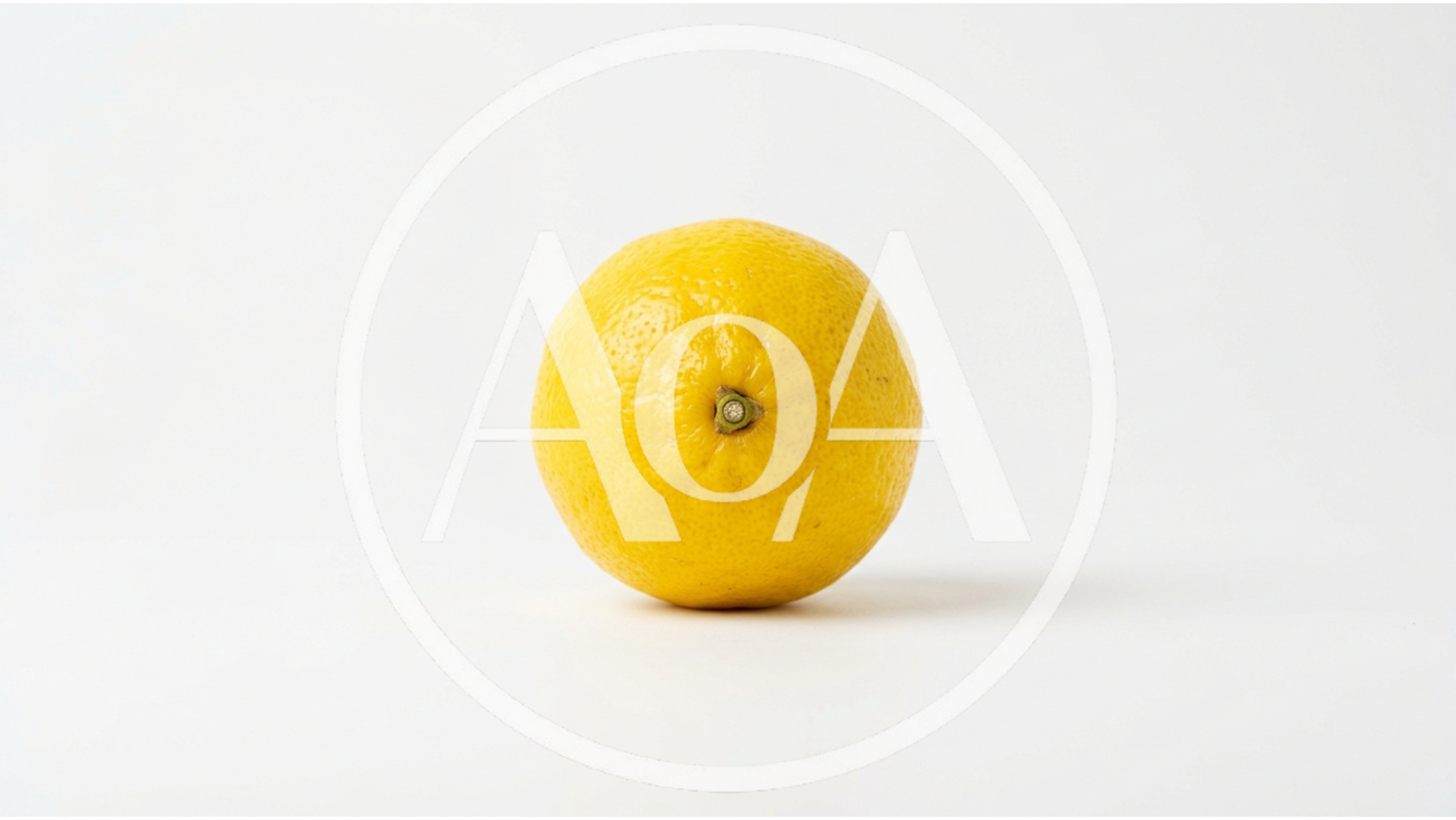 Single Fresh Yellow Lemon on White Background