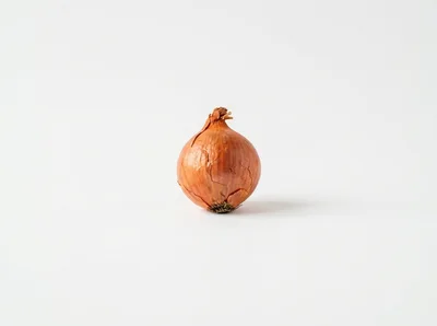 Single Brown Onion Isolated On White Background