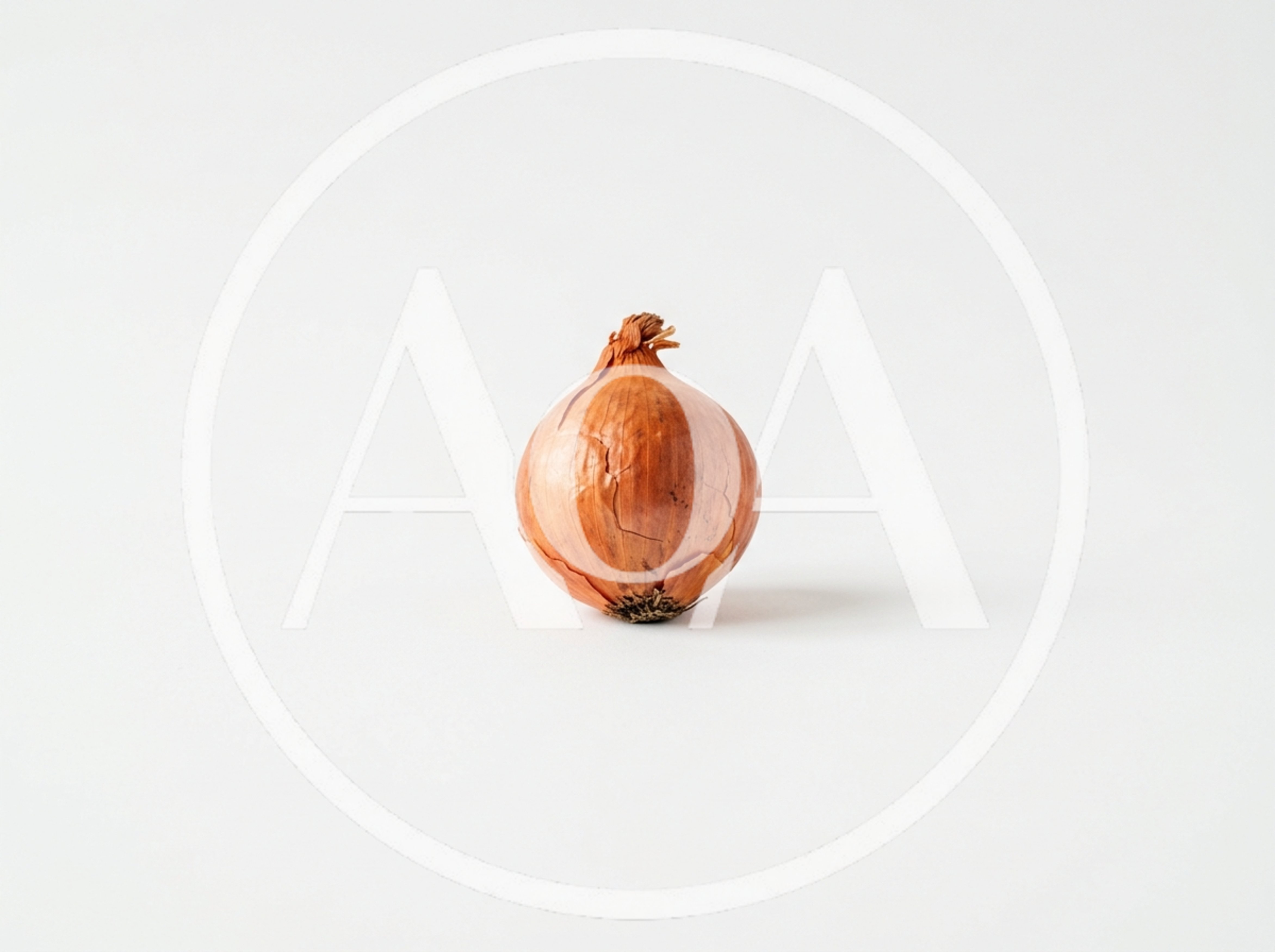 Single Brown Onion Isolated On White Background