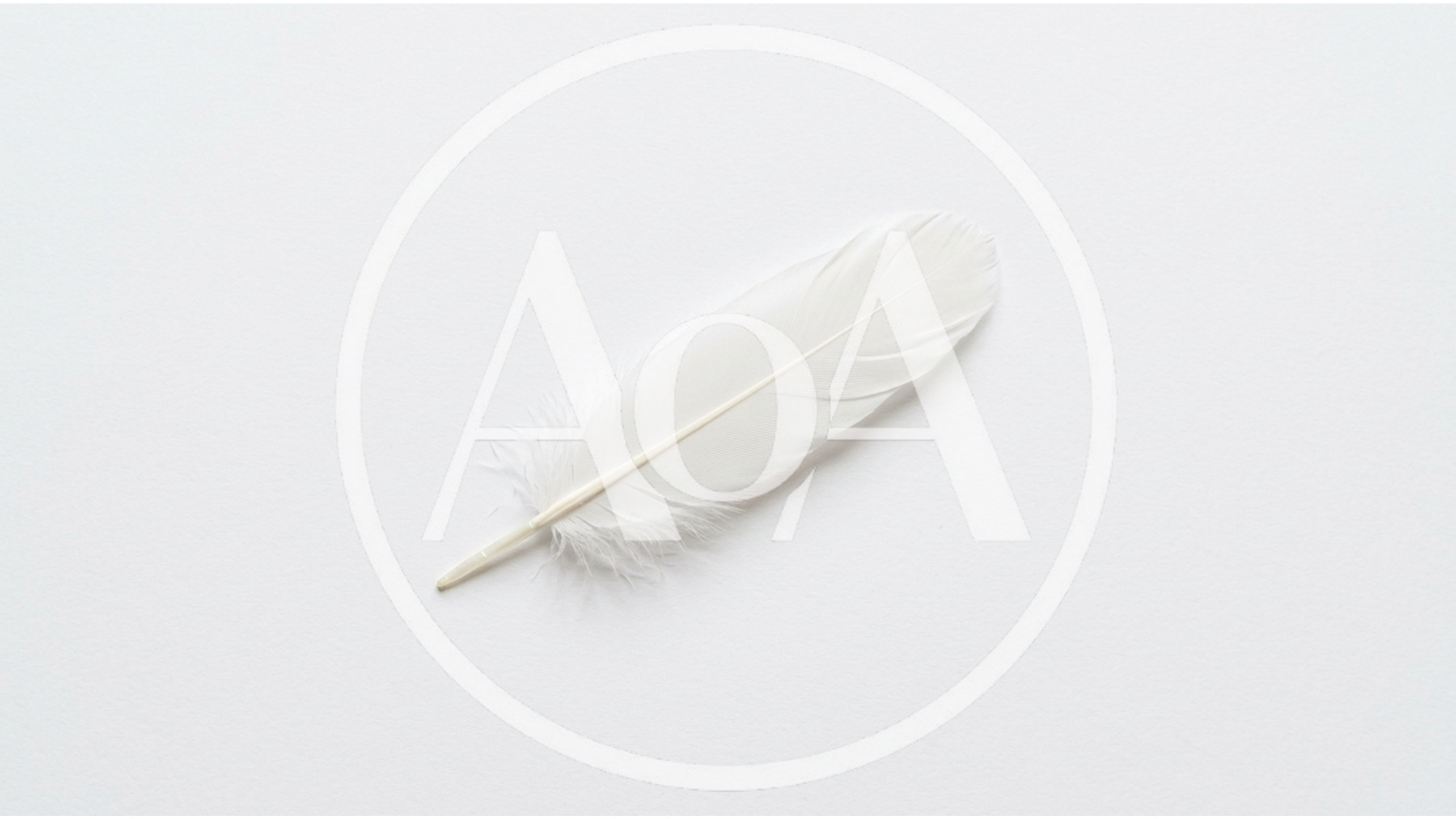Single White Feather Isolated On Plain Background