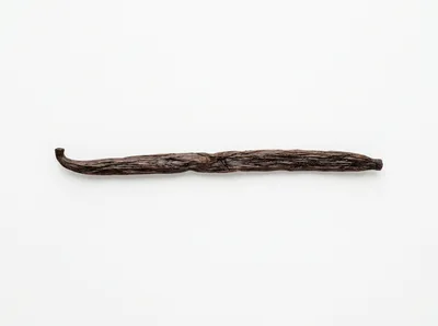 Single Dried Vanilla Bean Pod