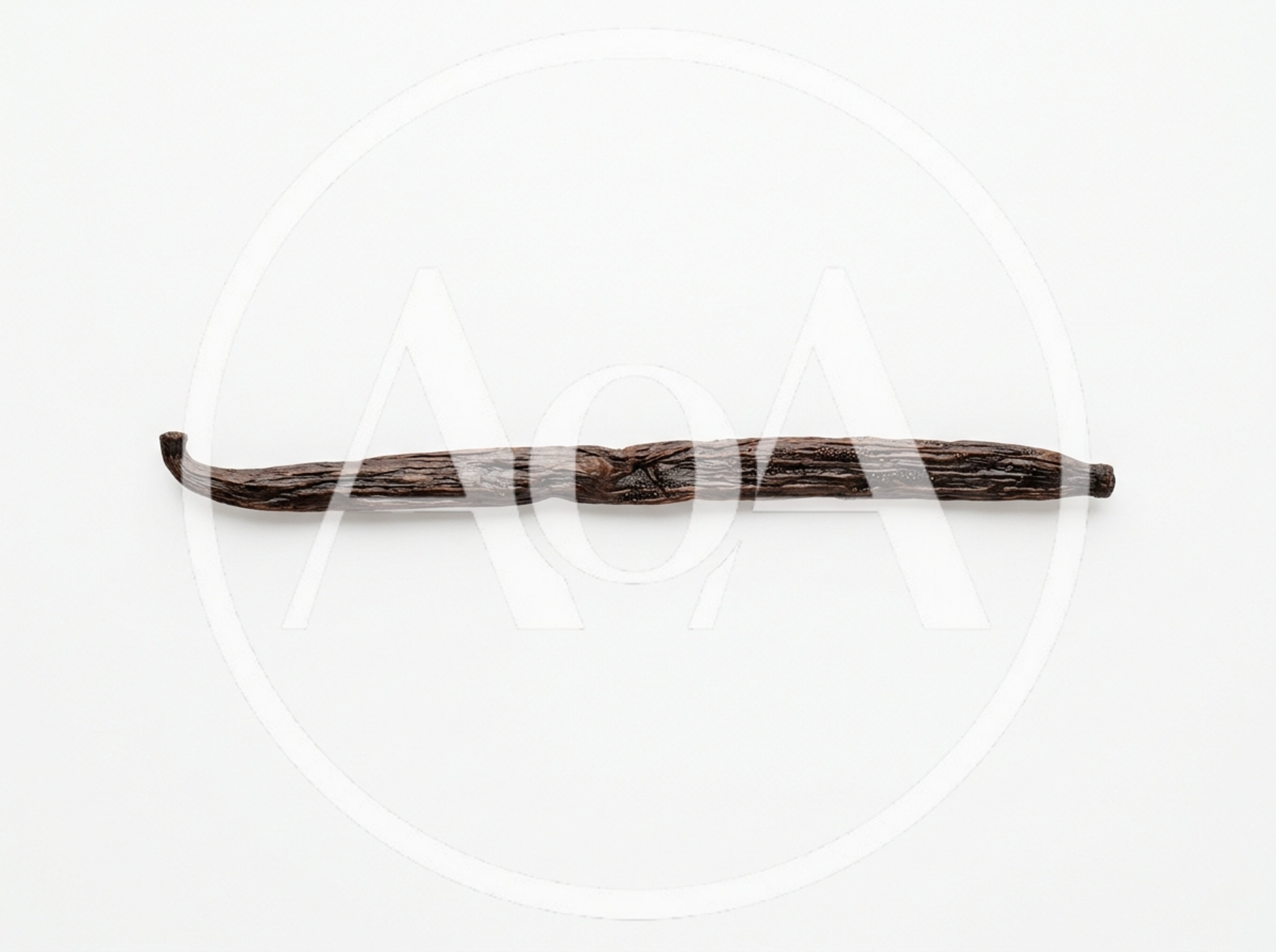 Single Dried Vanilla Bean Pod