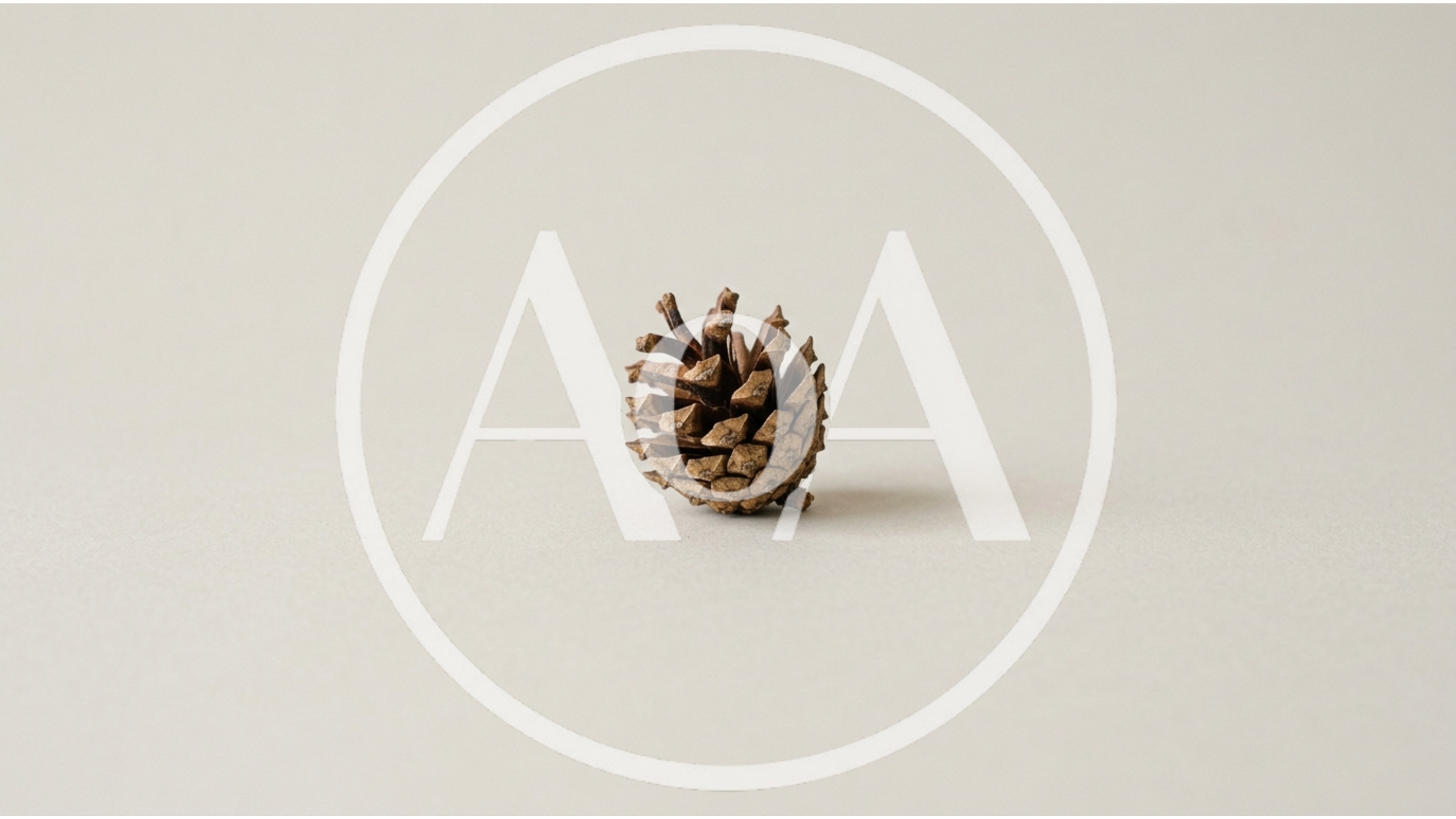 Single Brown Pine Cone on Neutral Background