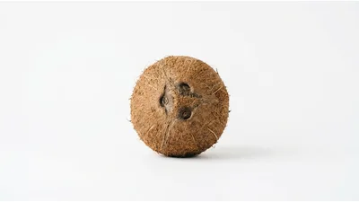Single Whole Brown Coconut Isolated On White Background