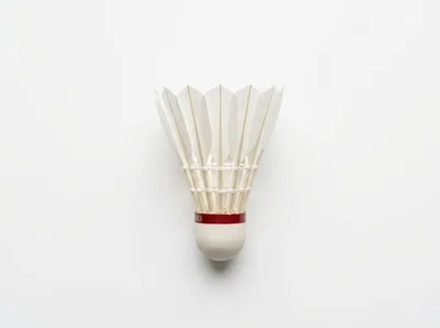 Professional Feather Shuttlecock Isolated On White Background