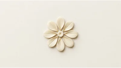 Minimalist Cream Colored Flower Petal Arrangement