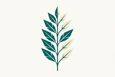 Minimalist Botanical Illustration Of A Symmetrical Leaf Branch