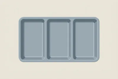 Empty Three Compartment Plastic Food Serving Tray