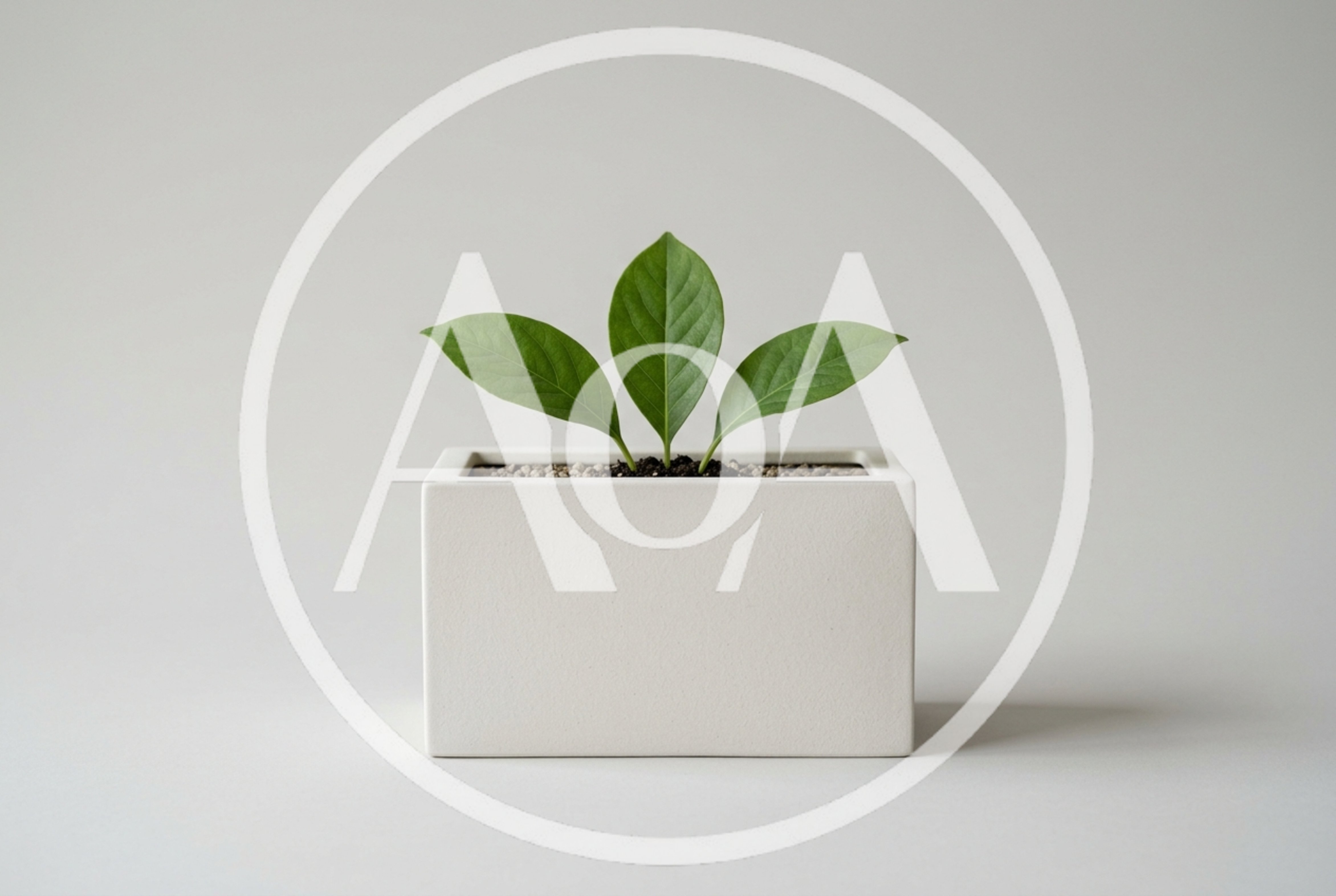 Minimalist Potted Plant With Three Green Leaves