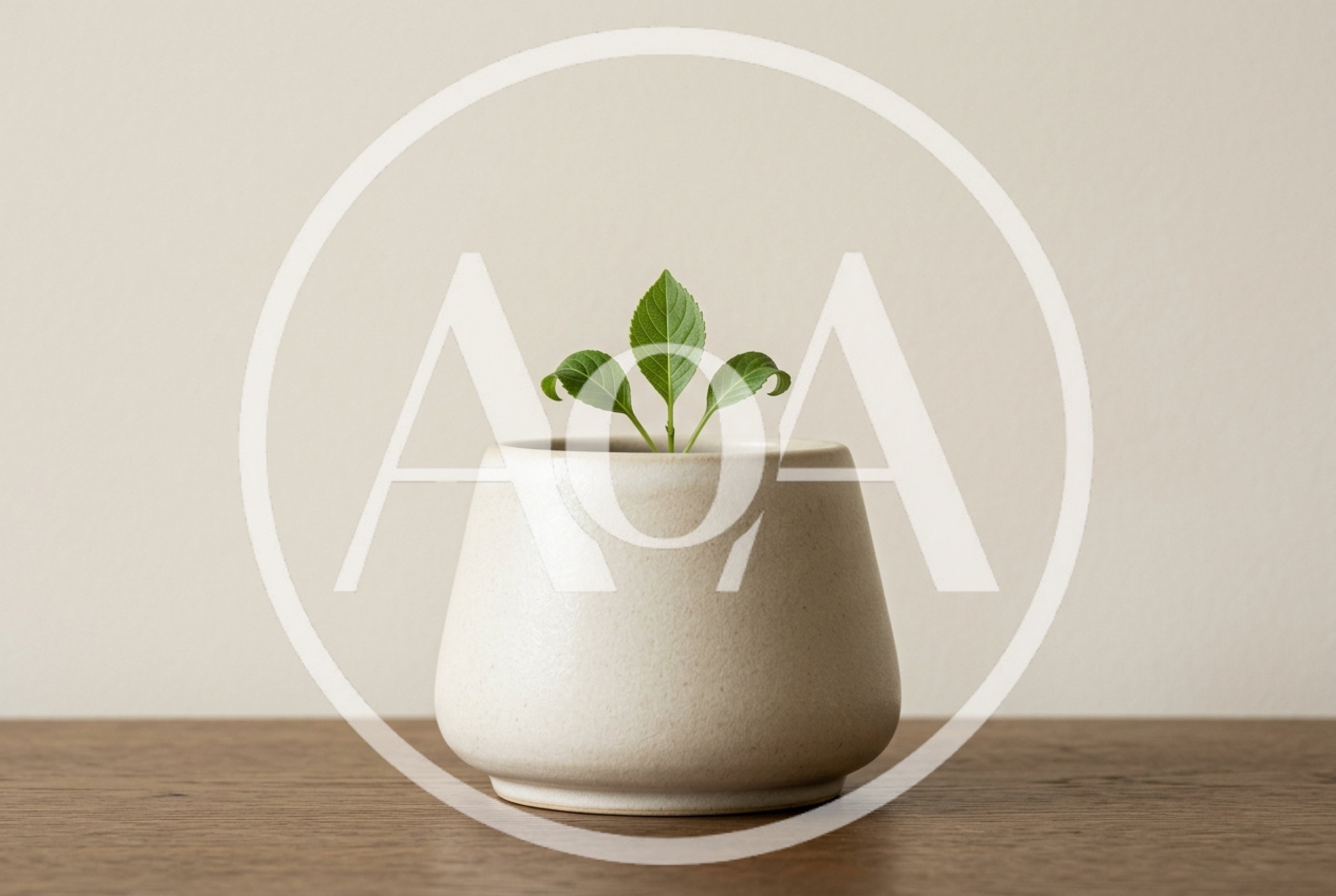 Small Green Plant In A Minimalist Ceramic Pot