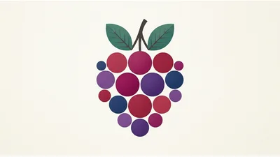 Minimalist Raspberry Illustration With Geometric Circles