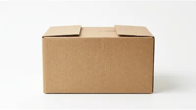 Closed Cardboard Shipping Box On White Background