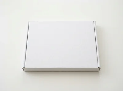 Blank White Cardboard Shipping Box On White Background