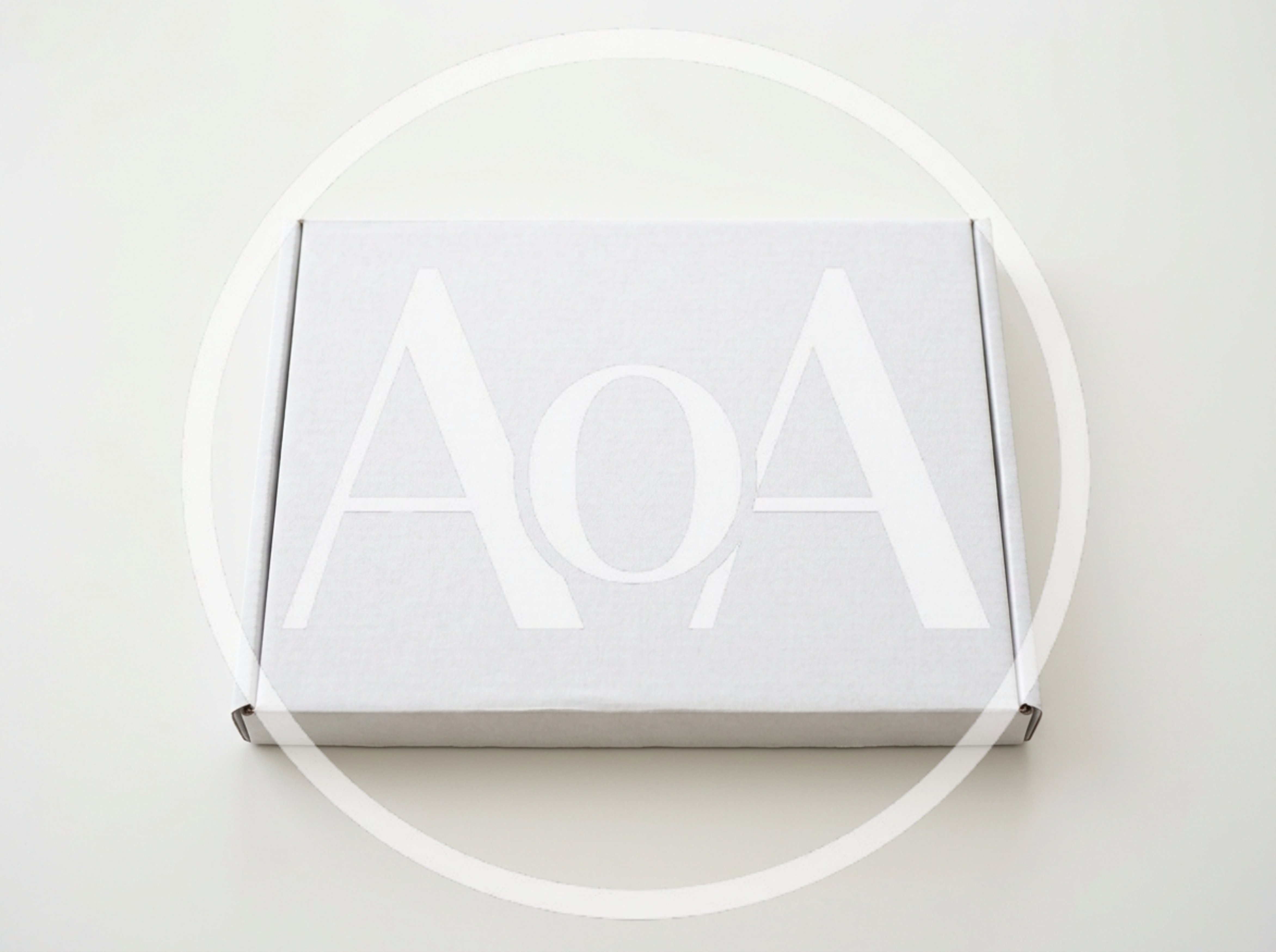 Blank White Cardboard Shipping Box On White Background