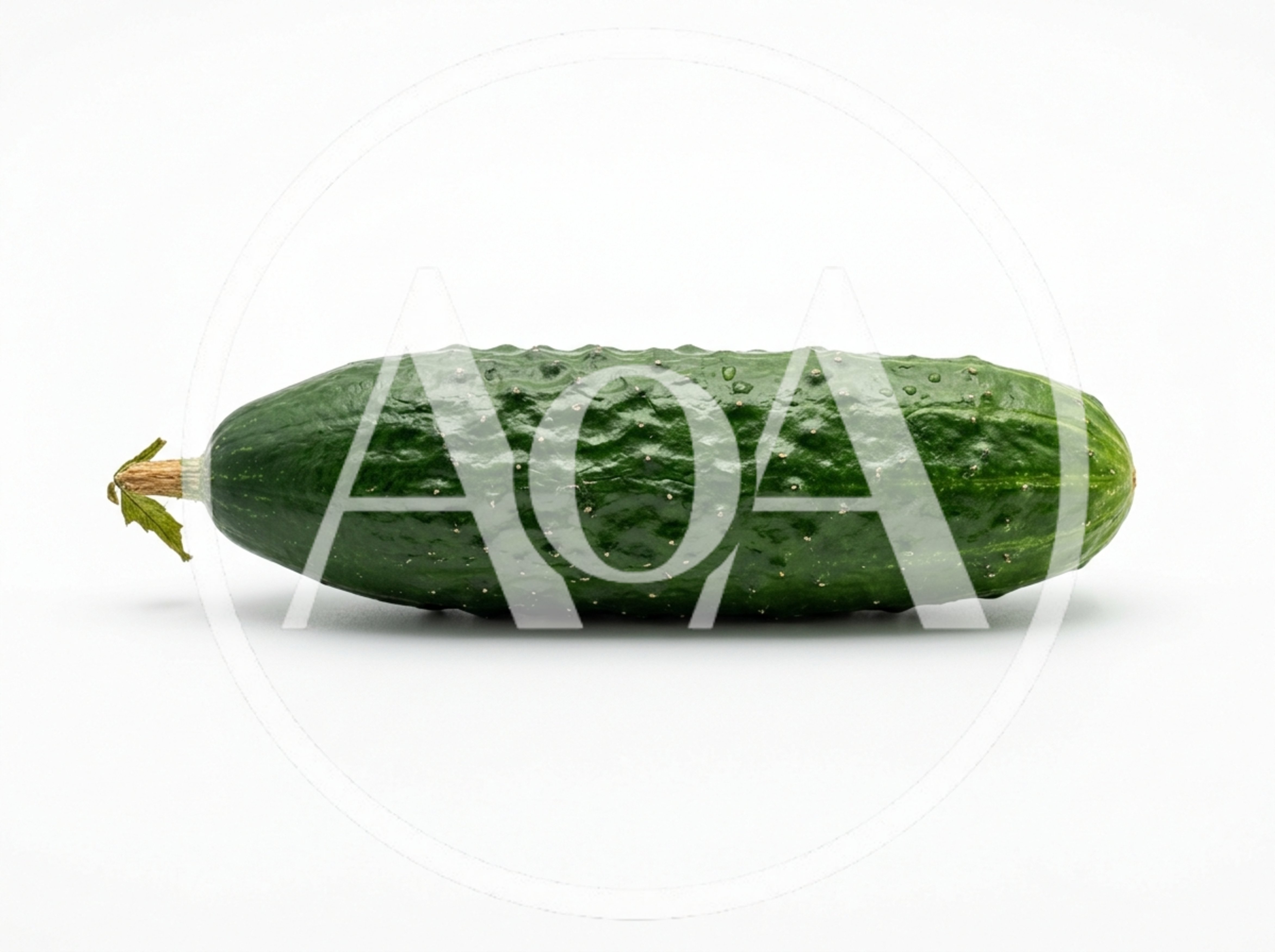 Single Fresh Green Cucumber Isolated On White Background