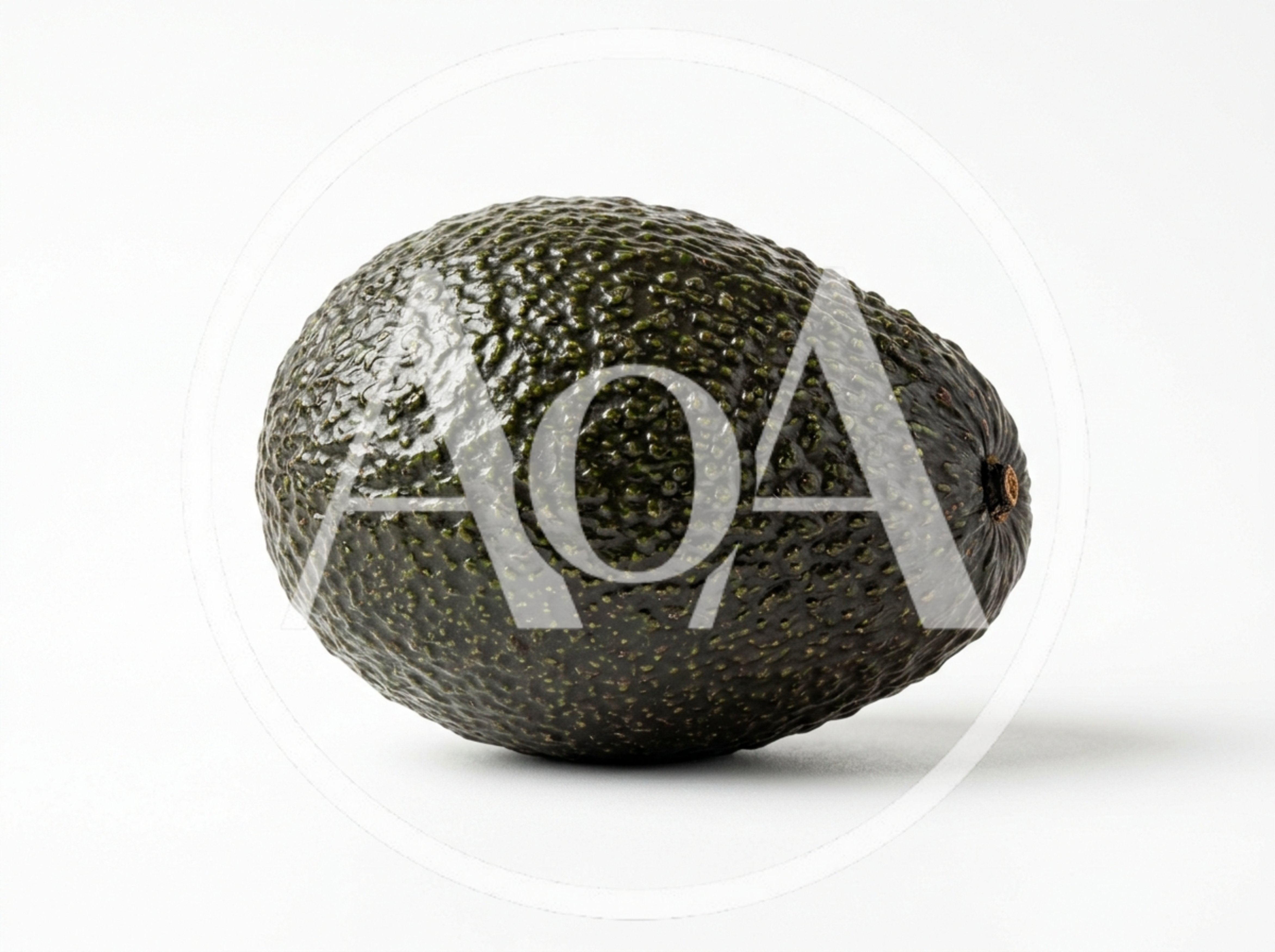 Single Ripe Hass Avocado Isolated On White Background