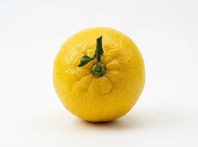 Single Fresh Yellow Yuzu Fruit on White Background