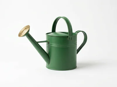 Green Metal Watering Can With Brass Rose