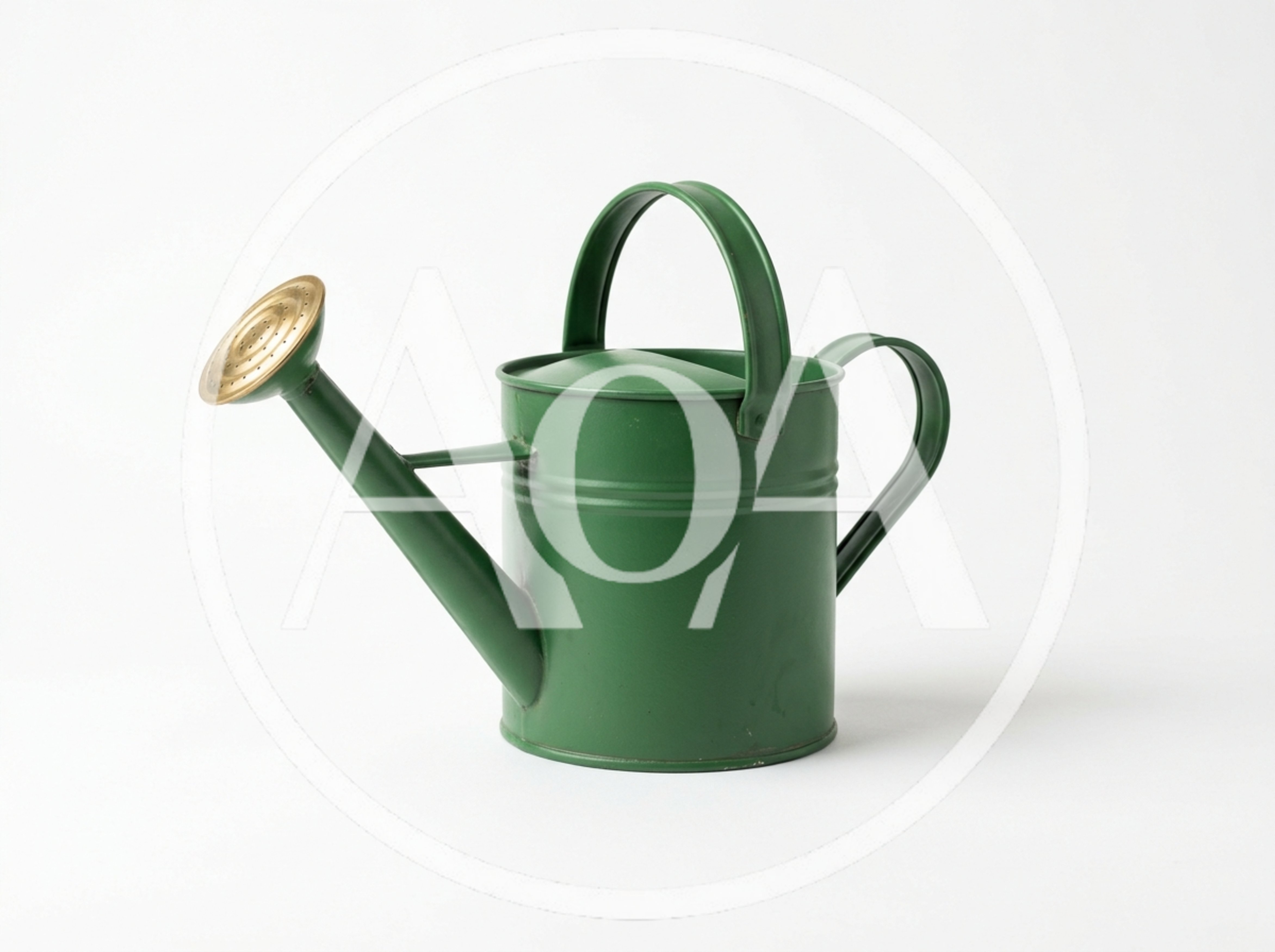 Green Metal Watering Can With Brass Rose