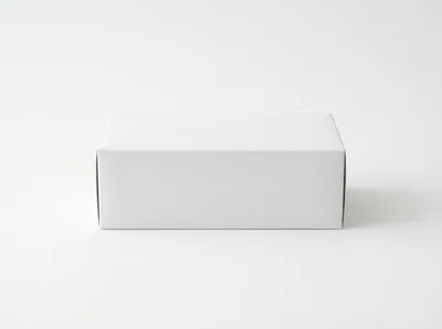 Blank White Rectangular Cardboard Box