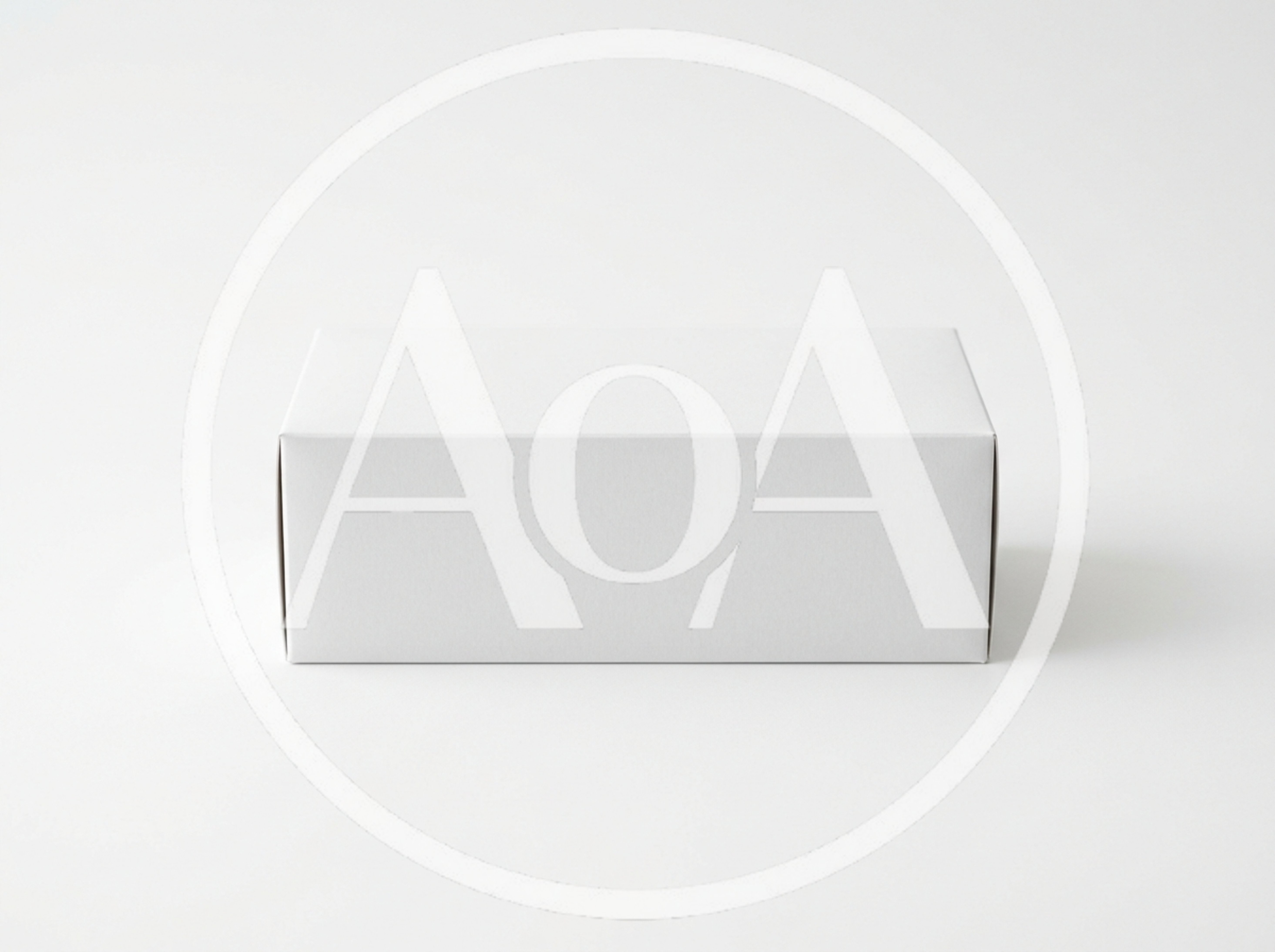 Blank White Rectangular Cardboard Box